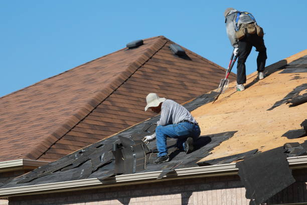 Best Asphalt Shingle Roofing  in Chillicothe, MO